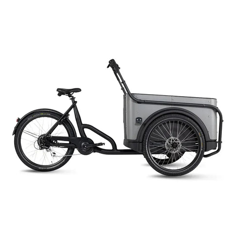 Royal Cargo Bike 3W Eco - Szürke