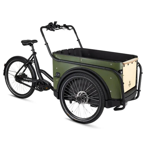 Royal Cargo Bike 3W Prémium - Zöld