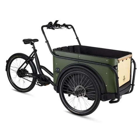 Royal Cargo Bike 3W Premium Plus - Zöld