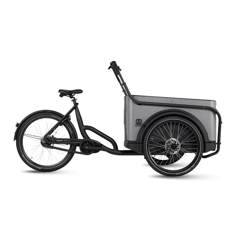 Royal Cargo Bike 3W Prémium - Tópszínű